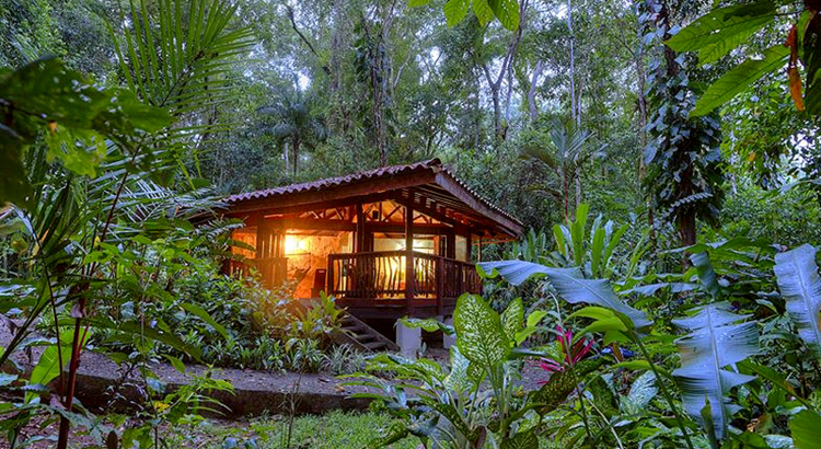 Costa Rica Nicuesa Rainforest Lodge